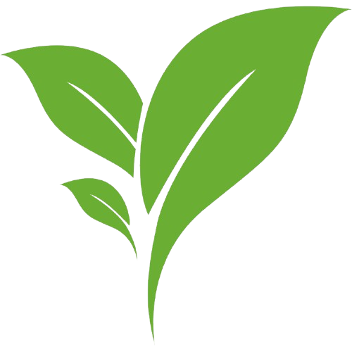 Plantifia